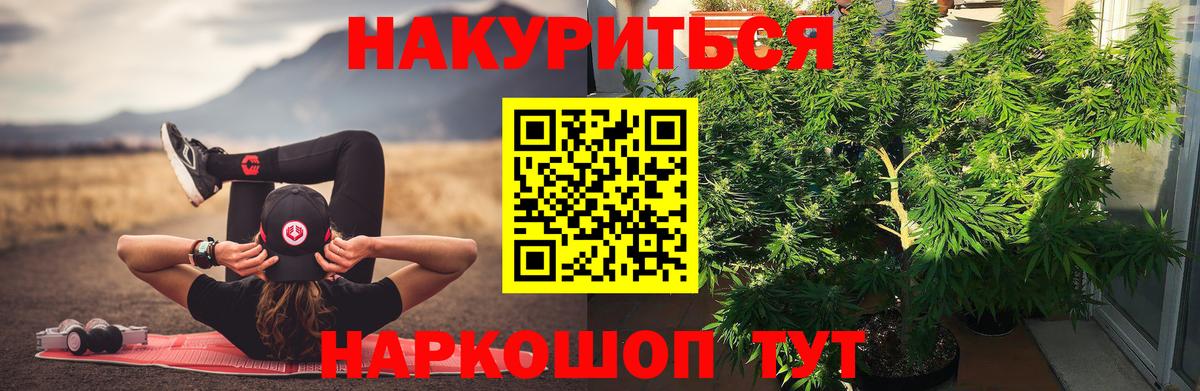 Бошки марихуана план  Вход с VPN  Бор  Шишки марихуана планчик  МАРИХУАНА марихуана 